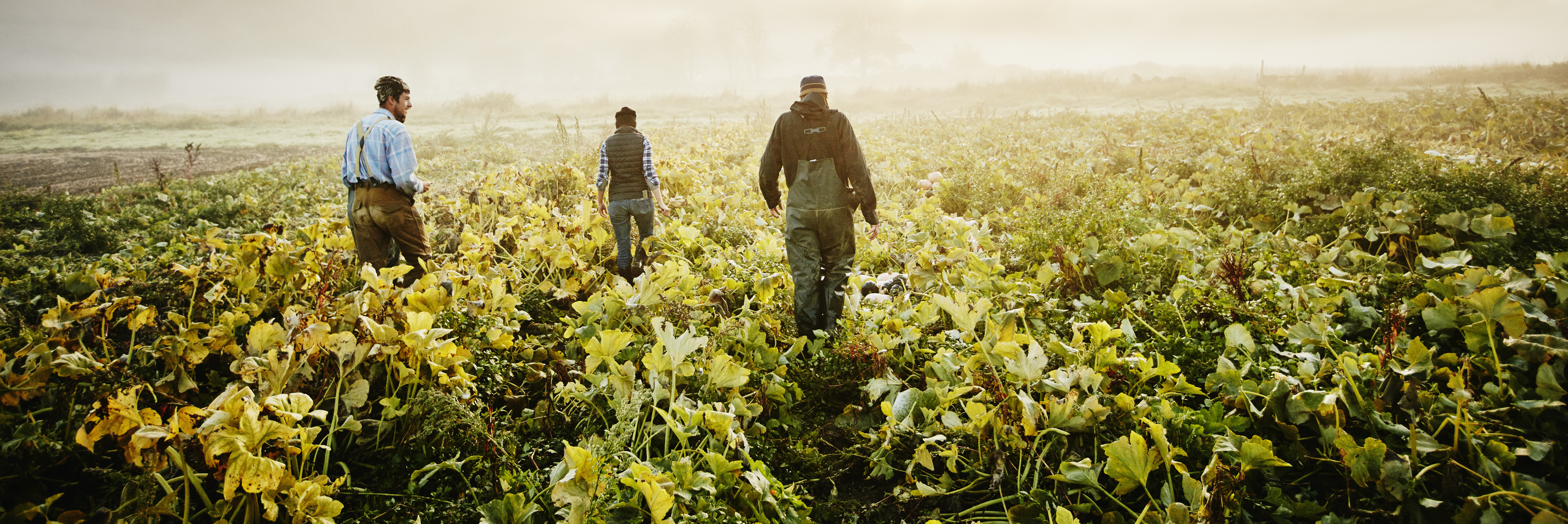 Three people working in a farm